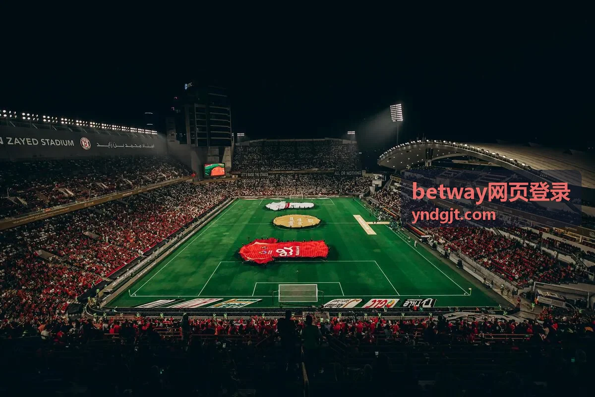 betway网页登录常见问题排查页面示意图
