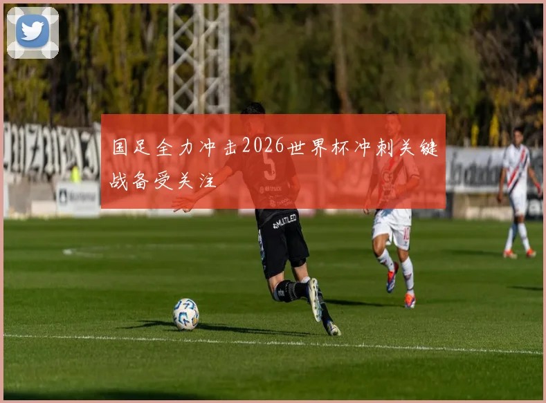 国足全力冲击2026世界杯冲刺关键战备受关注