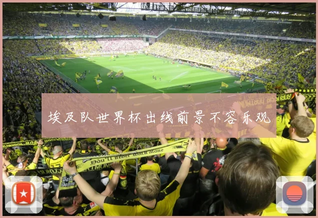 埃及队世界杯出线前景不容乐观