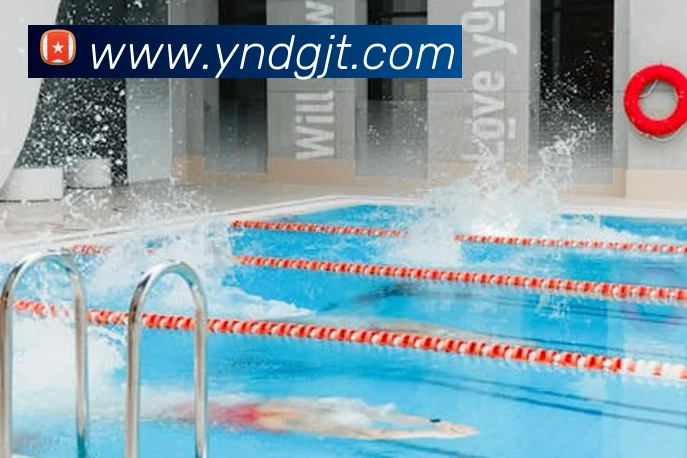 世界杯app官网发展历程